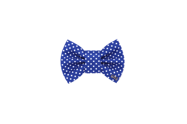 Funky Dog Bow Tie - Classic Blue & White Dots - woofers & barkers