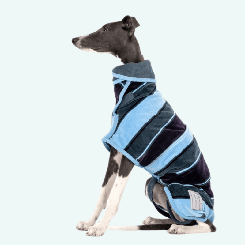 Ruff & Tumble Harbour Drying Coat - New! - woofers & barkers