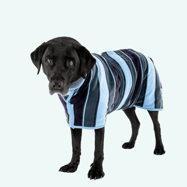 Rough and sales tumble dog coats