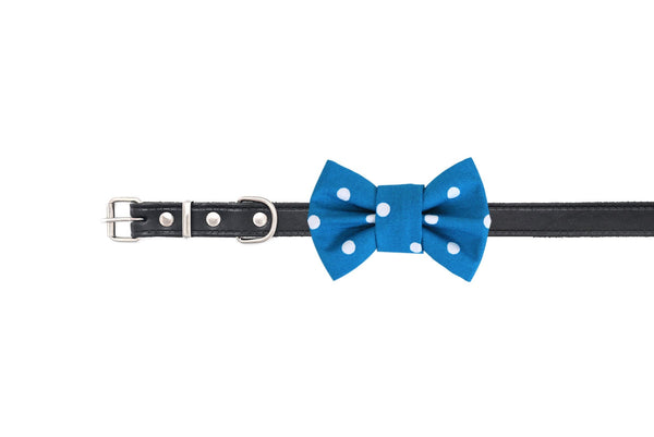 Funky Dog Bow Tie - Turquoise Blue & White Spots - woofers & barkers