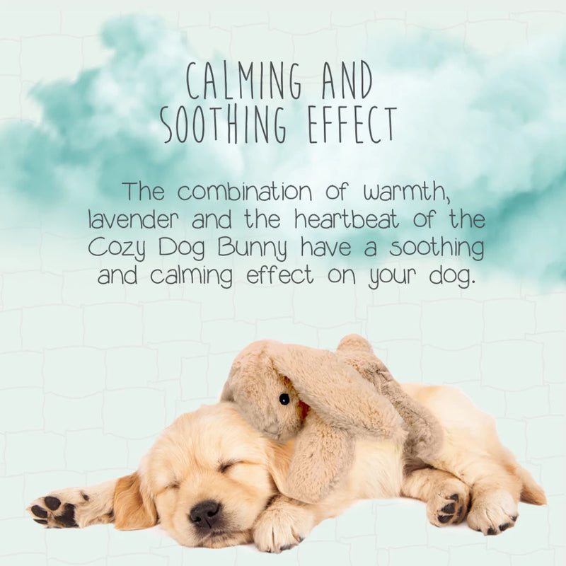 Cozy Dog Bunny Dog Toy