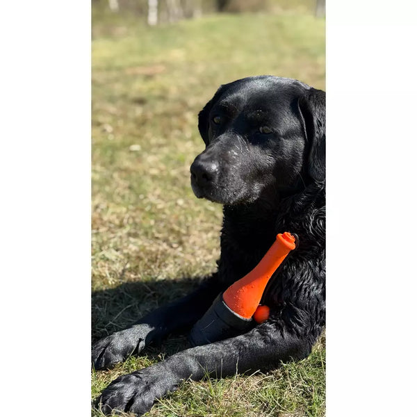 Dog Comet Bobber in Three Colours