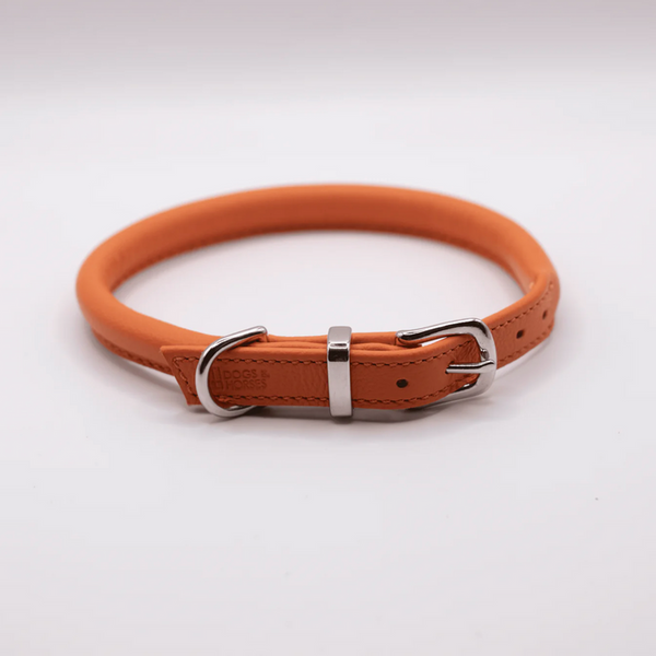 D&H Rolled Leather Collar Orange/Silver