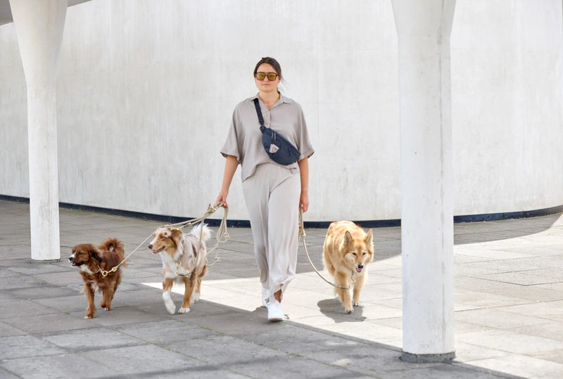 Palopa Dog Walking Bag - Emma