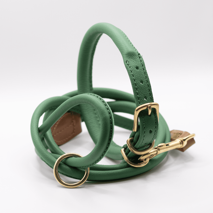 D & H Rolled Leather Lead Clover/Brass