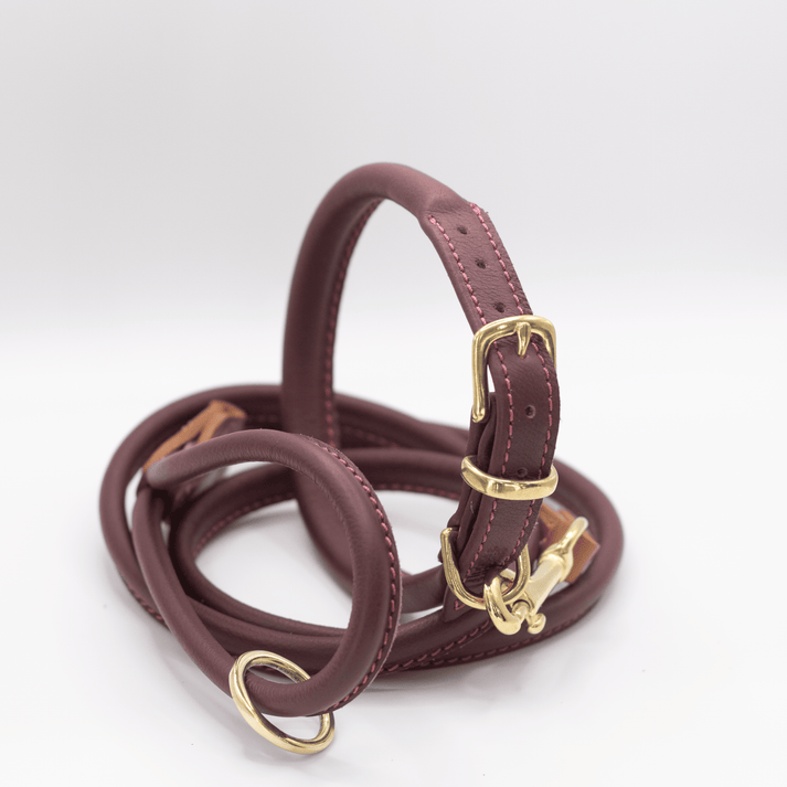 D & H Rolled Leather Collar Merlot/Brass