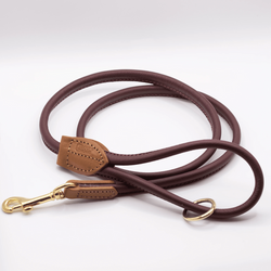 D & H Rolled Leather Lead Merlot/Brass