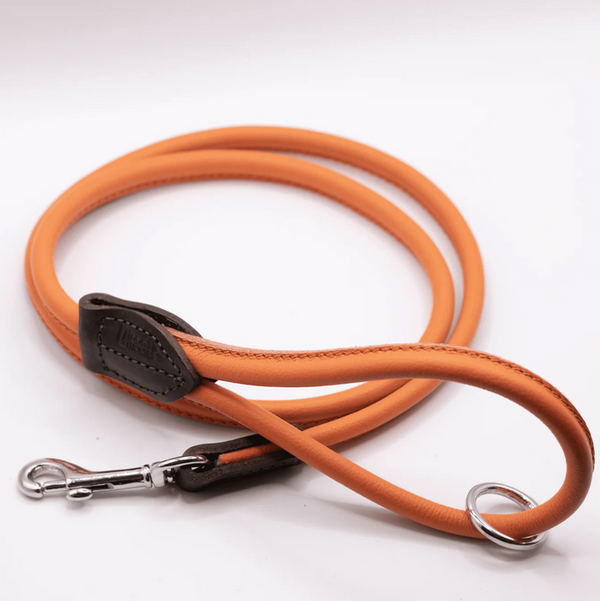 D&H Rolled Leather Collar Orange/Silver