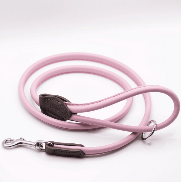 D & H Rolled Leather Lead Pink/Silver