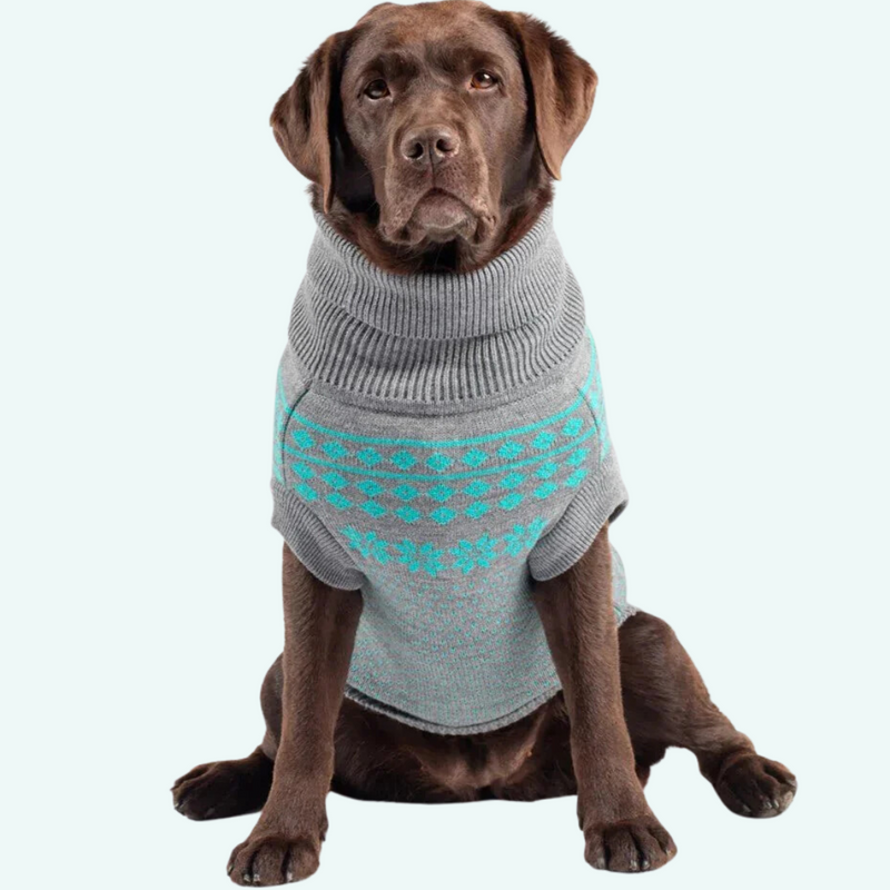 Dog Jumper - Grey with Teal Fairisle