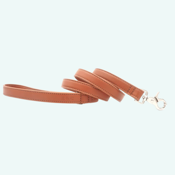 Ralph and Co Brown Leather Lead
