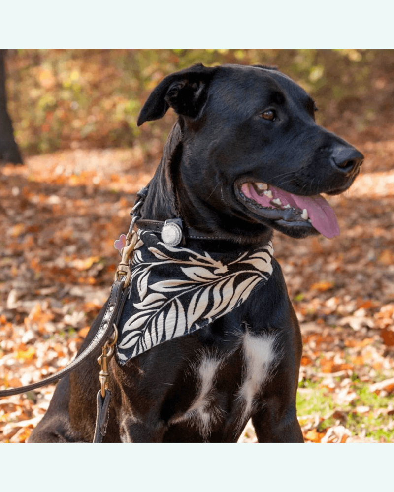 Guardian Dog Collar LED Safety Light