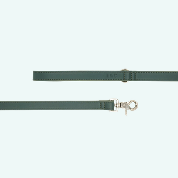 Ralph and Co Green Leather Lead