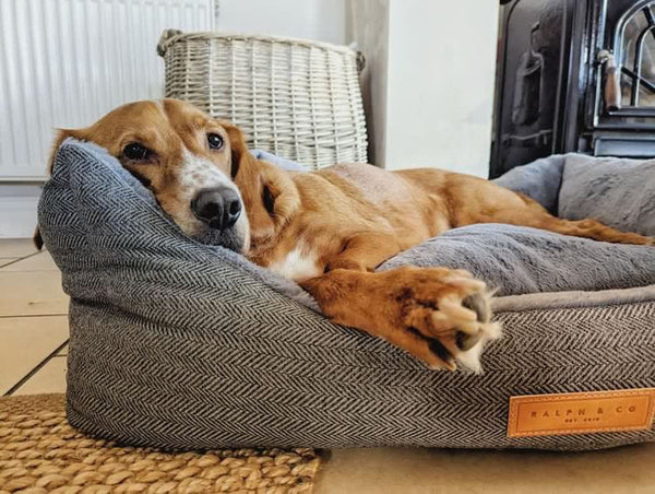 Ralph & Co Balmoral Nest Bed