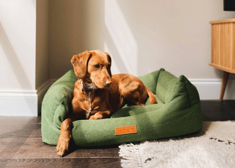 Ralph and Co Richmond Nest Bed