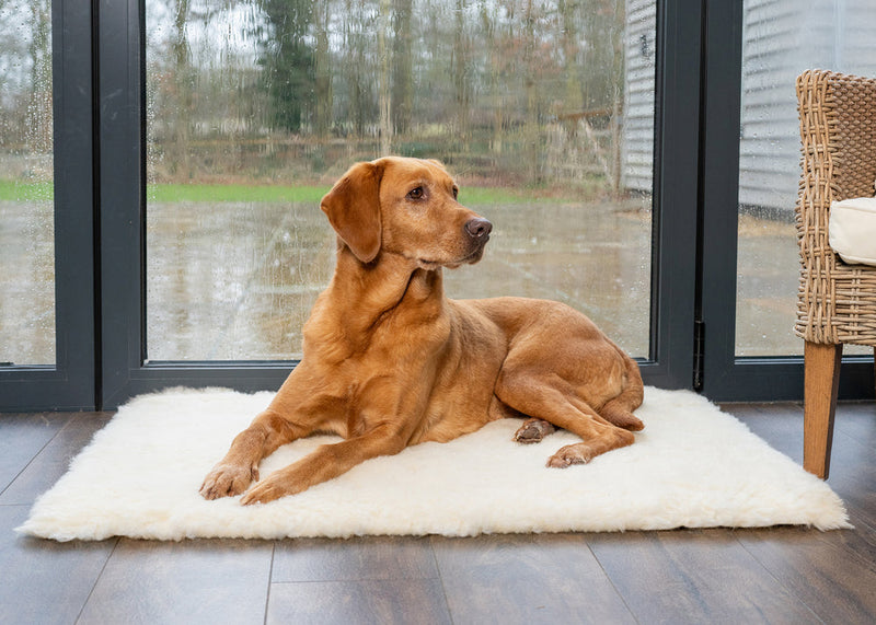 Ruff & Tumble Wool Fleece Bed Topper