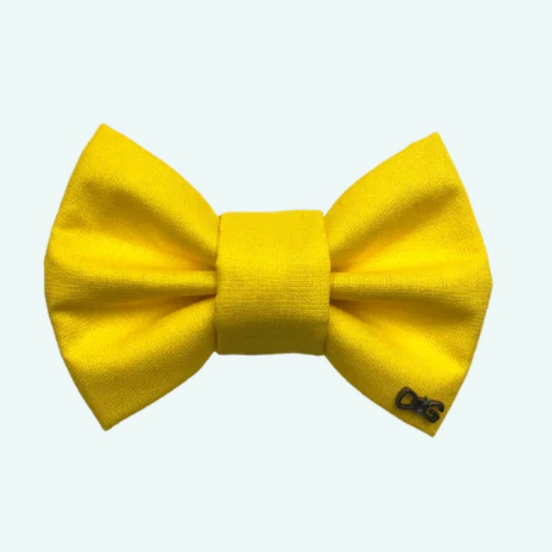 Funky Dog Bow Tie - Bright Yellow