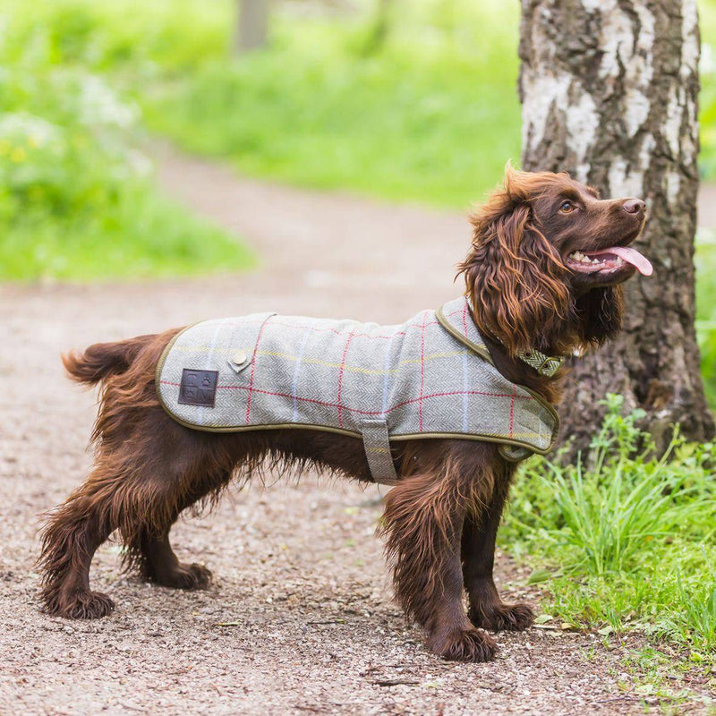 Tweedmill Dog Coat 15 - woofers & barkers