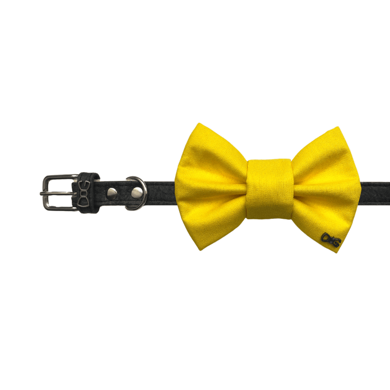 Funky Dog Bow Tie - Bright Yellow - woofers & barkers
