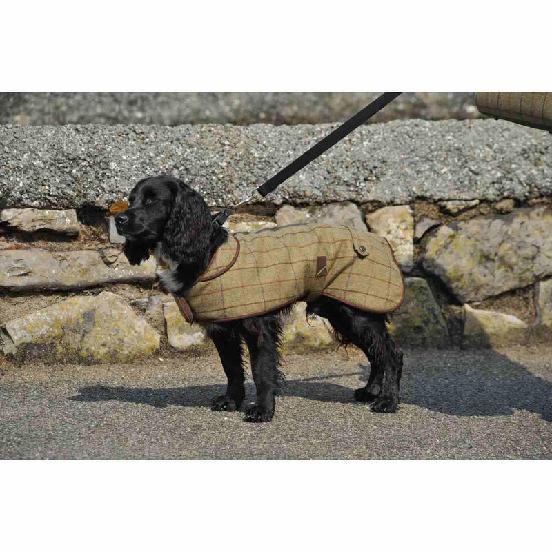 Tweedmill Dog Coat 922 - woofers & barkers