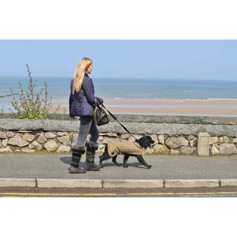 Tweedmill Dog Coat 922 - woofers & barkers