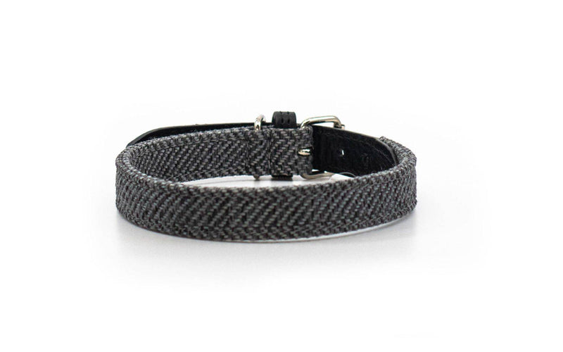 Ralph & Co Balmoral Collar - woofers & barkers