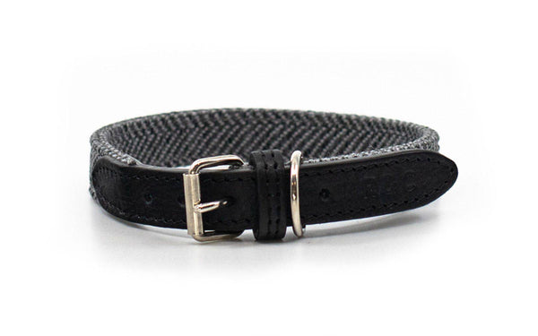 Ralph & Co Balmoral Collar - woofers & barkers