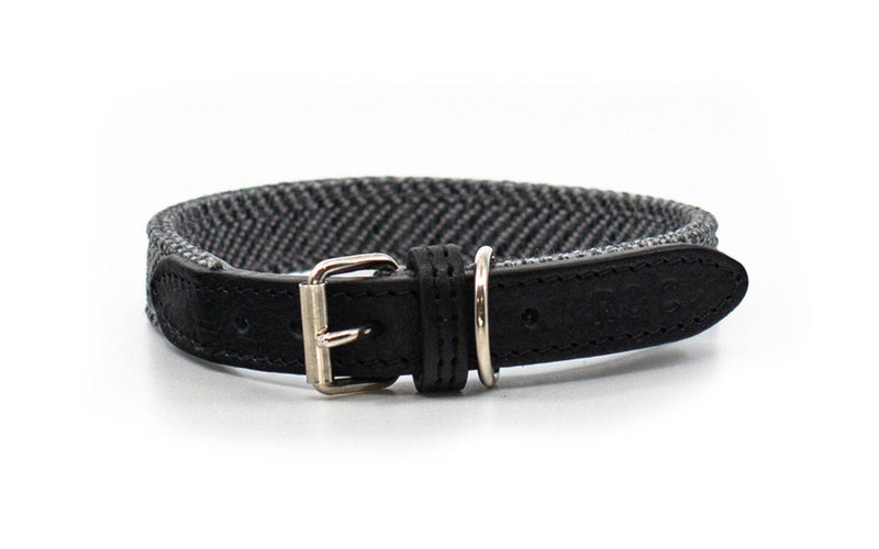 Ralph & Co Balmoral Collar - woofers & barkers