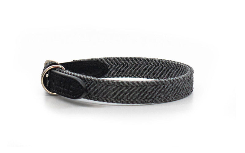 Ralph & Co Balmoral Collar - woofers & barkers