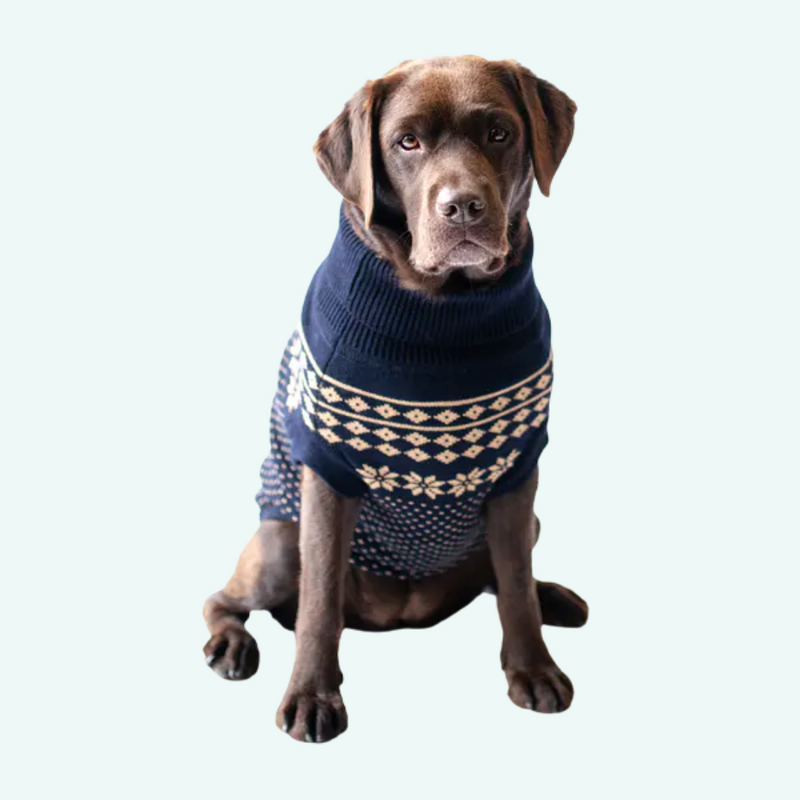 Xmas Dog Jumper - Blue with Gold Fairisle - woofers & barkers