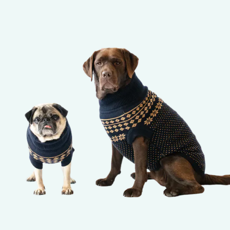 Xmas Dog Jumper - Blue with Gold Fairisle - woofers & barkers