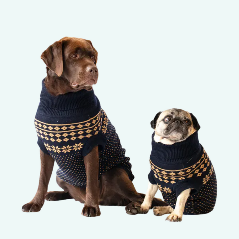 Dog Jumper Blue with Gold Fairisle woofers barkers