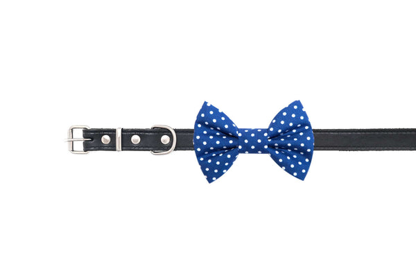 Funky Dog Bow Tie - Classic Blue & White Dots - woofers & barkers