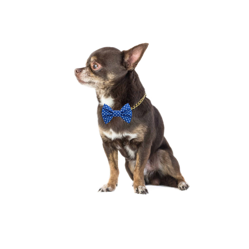 Funky Dog Bow Tie - Classic Blue & White Dots - woofers & barkers