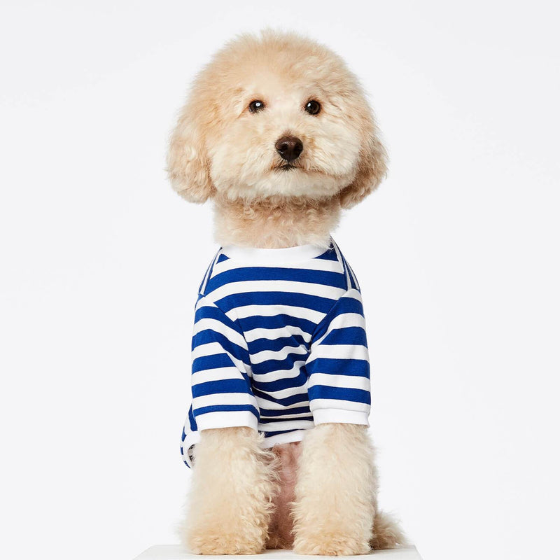TPW David striped T shirt Blue - woofers & barkers