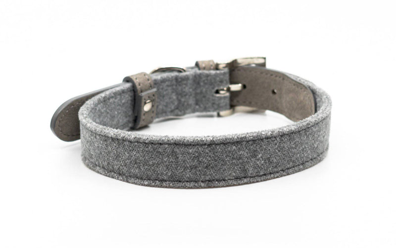 Ralph & Co Dalton Collar - woofers & barkers