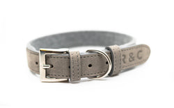 Ralph & Co Dalton Collar - woofers & barkers