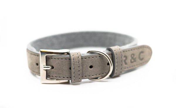 Ralph & Co Dalton Collar - woofers & barkers