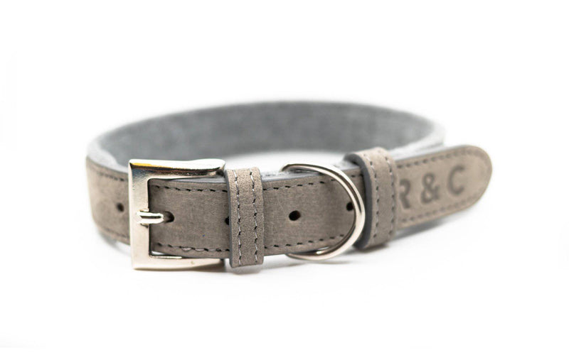 Ralph & Co Dalton Collar - woofers & barkers
