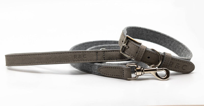 Ralph & Co Dalton Lead - woofers & barkers