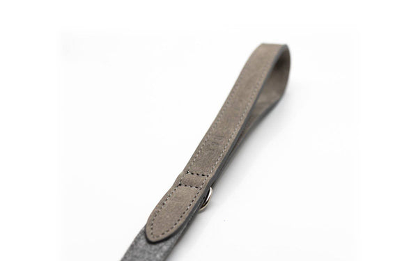 Ralph & Co Dalton Lead - woofers & barkers