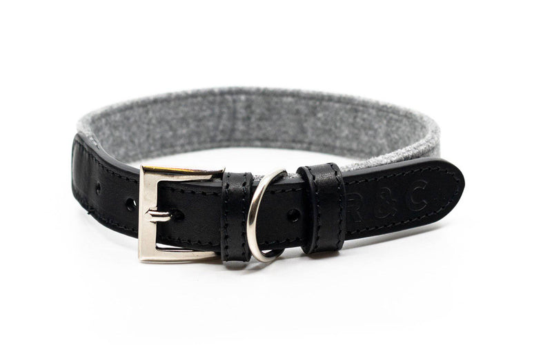 Ralph & Co Eton Collar - woofers & barkers