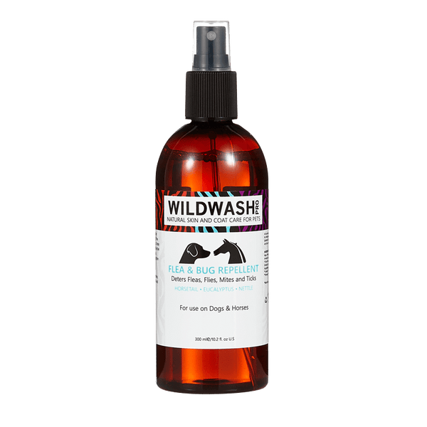 Eucalyptus oil top for fleas