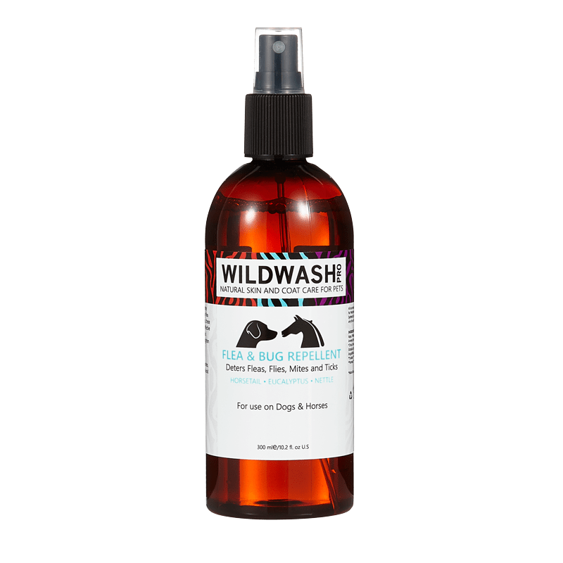Eucalyptus oil for fleas shop