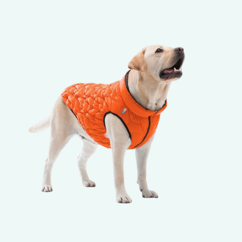 Airy Vest UNI Orange Black woofers barkers
