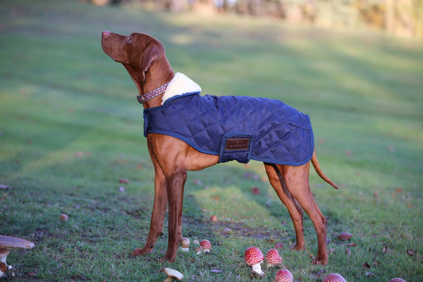 Kentucky Dogwear Dog Coat - Navy