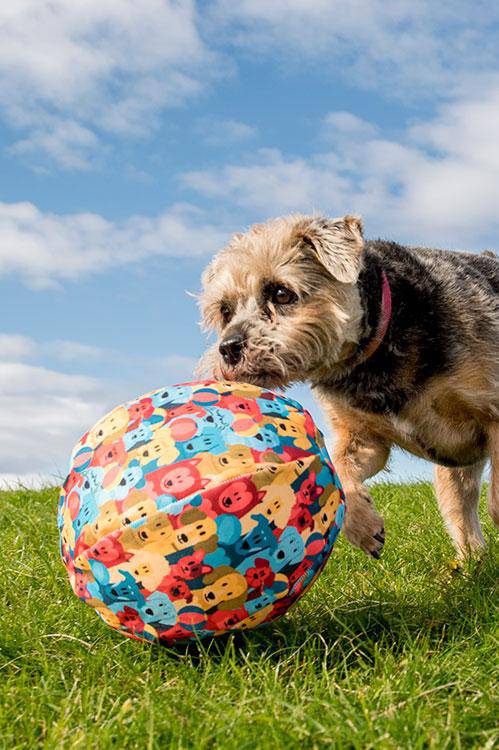 Dog balloon toy