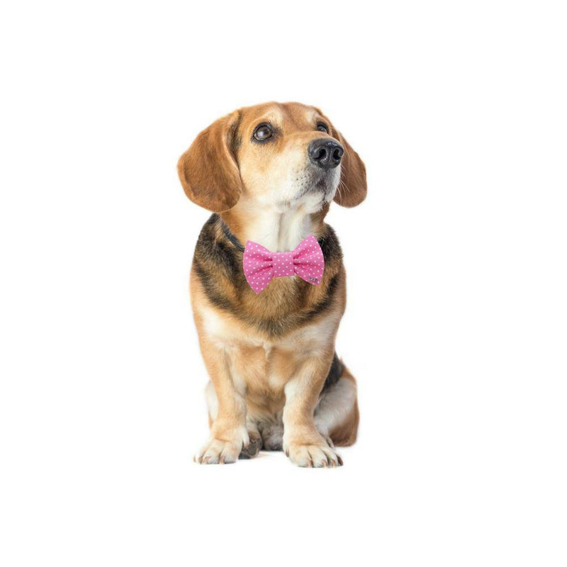 FD Bow Tie- Classic Pink & White Dots - woofers & barkers