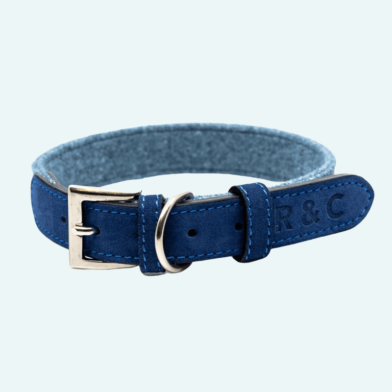 Ralph & Co Rayleigh Collar - woofers & barkers