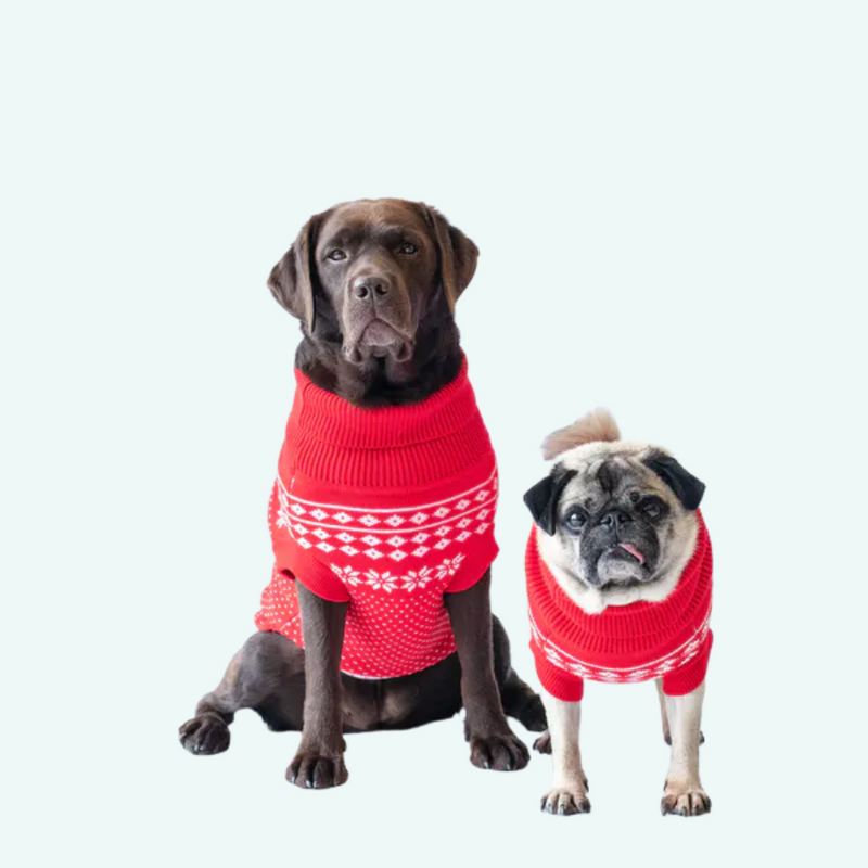 Xmas Dog Jumper - Red with White Fairisle - woofers & barkers